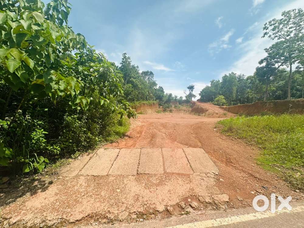 Attingal Bypass Land for Sale