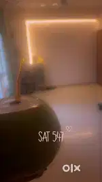looking for female flatmates