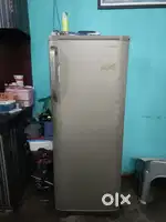Selling the fridge