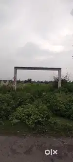 Urgent Selling plot Near Chanpura Ply wood factoryReliance Petrol Pump