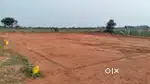 Low budget plot