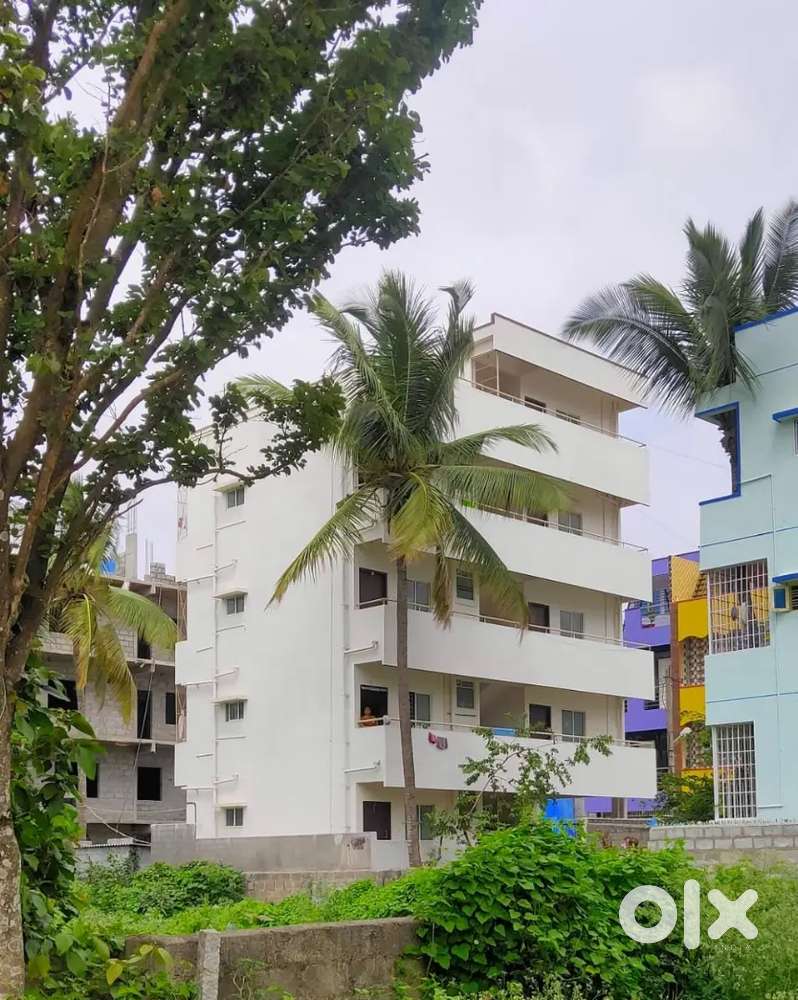 Complete building having 8 1bhk houses