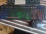 Keyboard and mouse