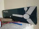 New bajaj fan