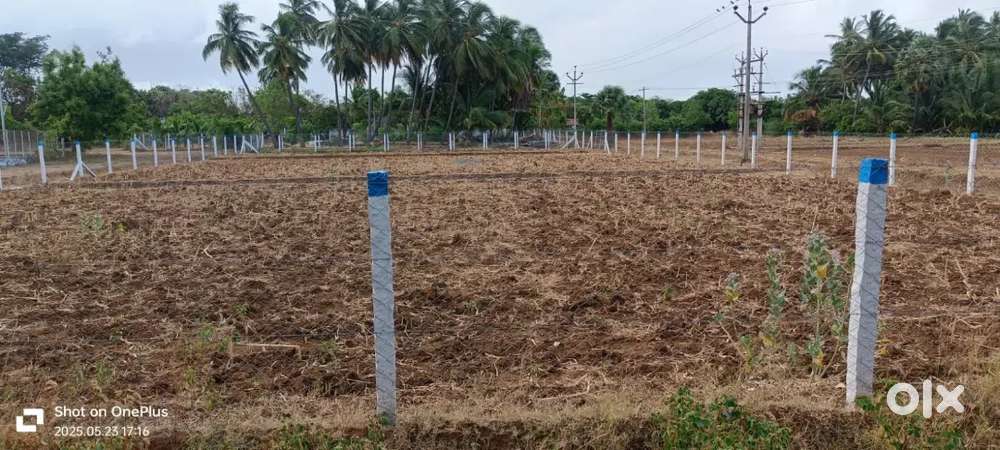 52 cent on-road Agricultural land for sale