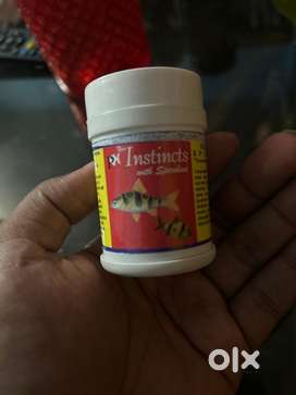 Fish food for sale