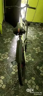 Avon cycle