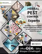 Fild work job raipur