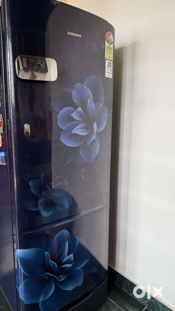 Samsung 183 L, 4 Star, Digital Inverter