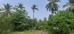 Excellent house site for sale at Thenka Yedapadavu.