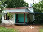 11.5 cent വീടും പുരയിടവും വില്പനയ്ക്