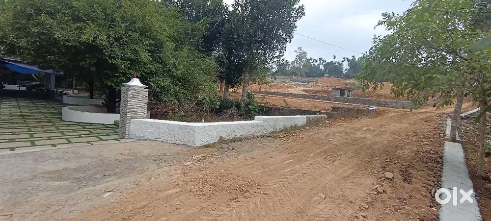 Angamaly elavoor st Mary's Church near by 5,6,8, 10,20, cent plots