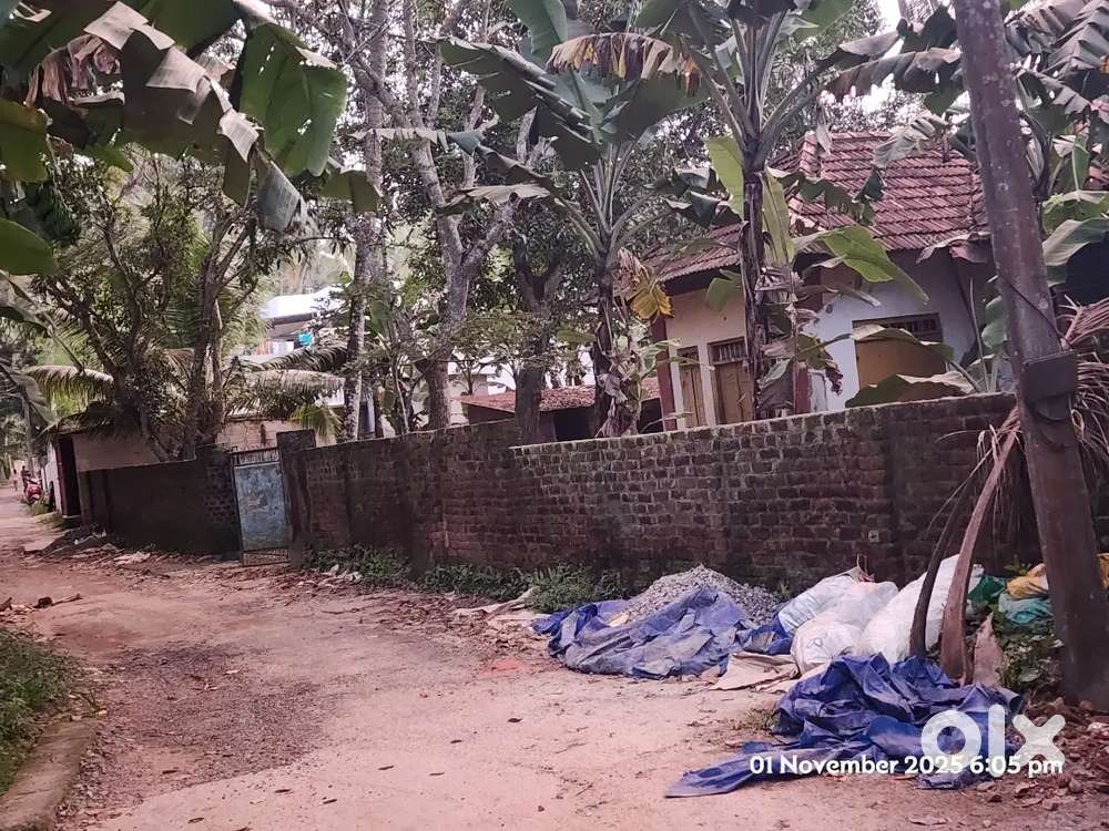 Square Plot 24 cents with wall and water well and electricity