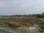70 cents Open Land for sale