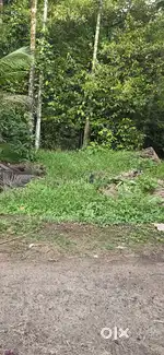 ഇരിഞ്ഞാലക്കുട ചേലൂരിൽ ടാറിംഗ് റോഡ് ഉള്ള ഒരേക്കർ സ്ഥലം വിൽപ്പനയ്ക്ക്