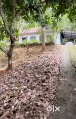 2 acres of land with 3bhk house
