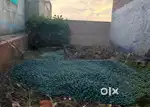 Plot for sale