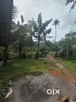 Cow farm for rent