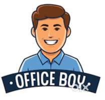 Office Boy