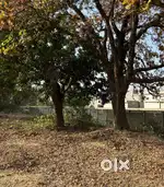 1000 sf plot for sale at Premium Location