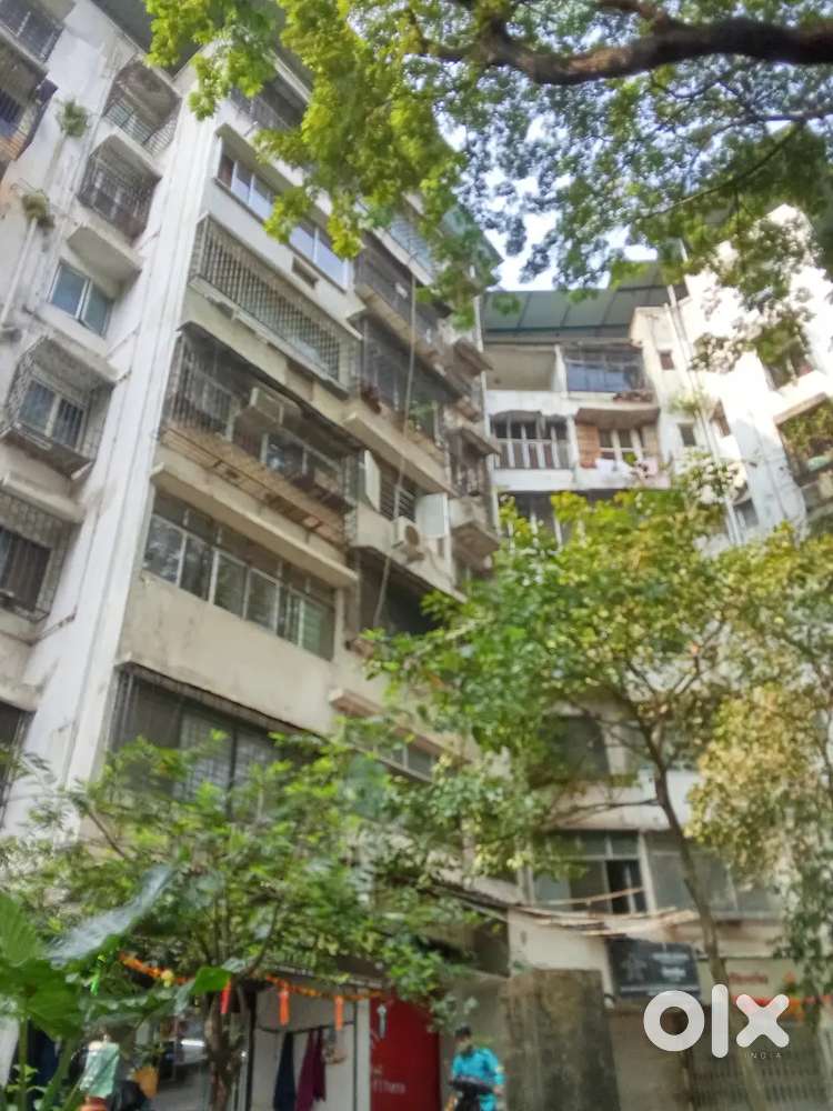 1bhk on rent borivali west