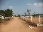 Open plots for sale. Clear title. Spot Registration.