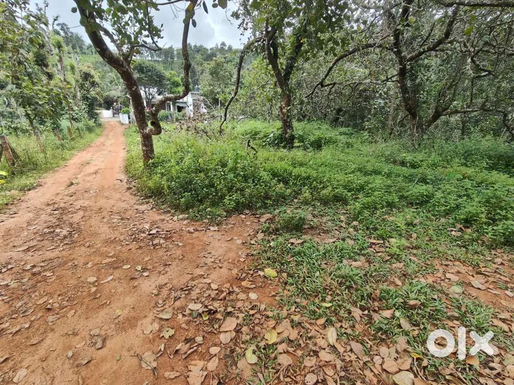 55 cent land and old house for sale