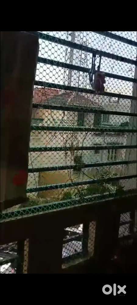 2 BHK with balcony for sale in Nandan Vihar Patia