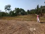 3 plot   15 biswa 24 lakh purana makan+