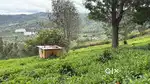 Land For Sale Ooty Main Road
