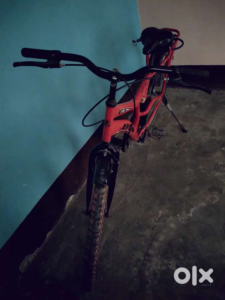 Avon kriss cycle