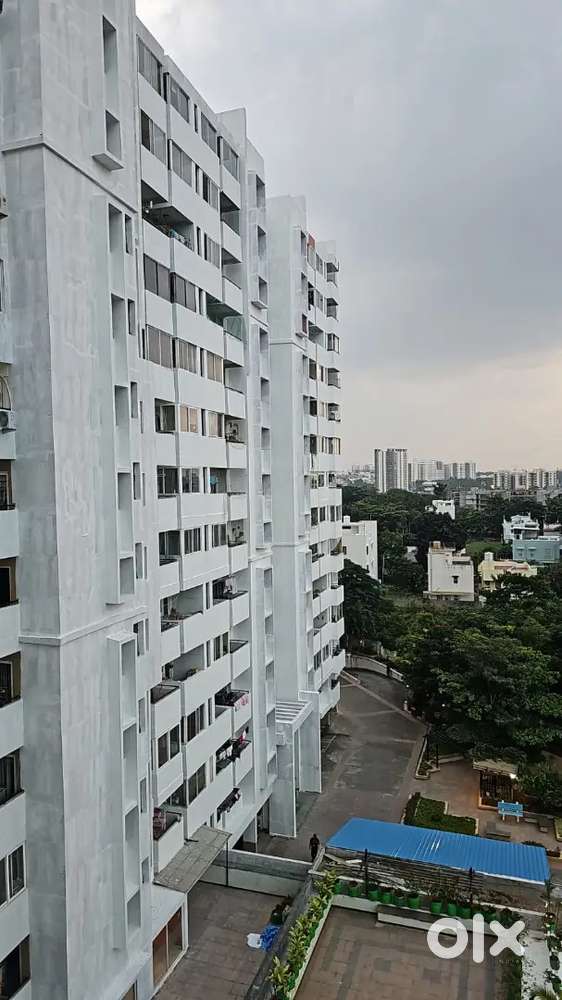 3 BHK Flat In Amoda Valmark