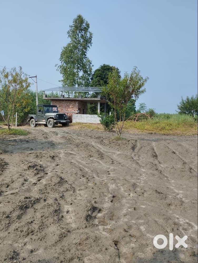 Land for Sale in Bassi Maroof Hussainpur, Hoshiarpur