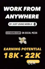 Work From Home Opportunity
