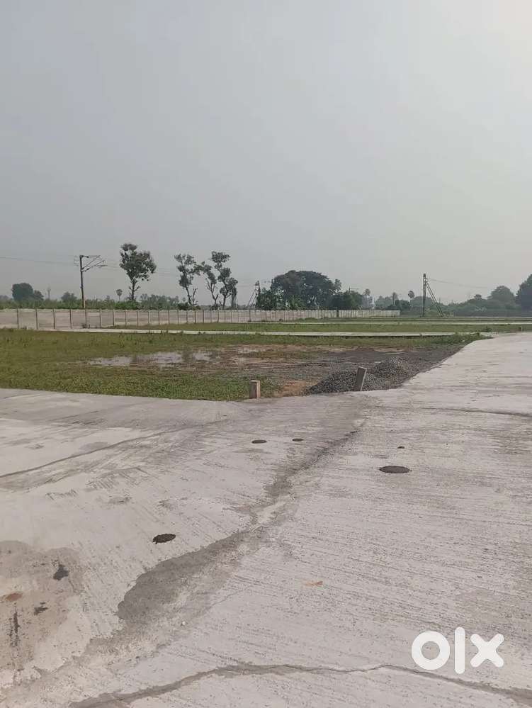 Individual golden PLOTS available