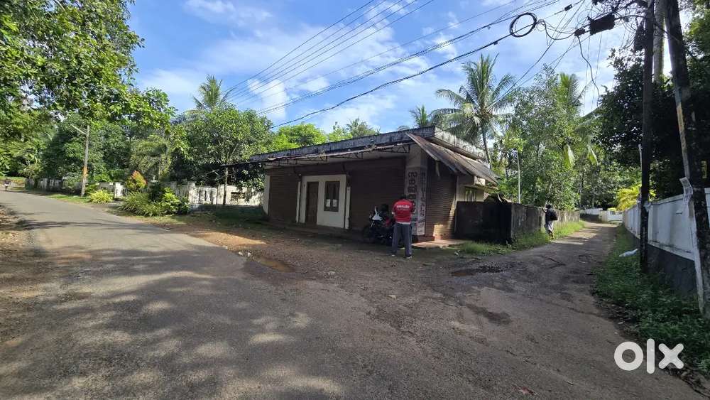 Angamaly karukutty 6 cent 1000 sqft shops for sale immediately