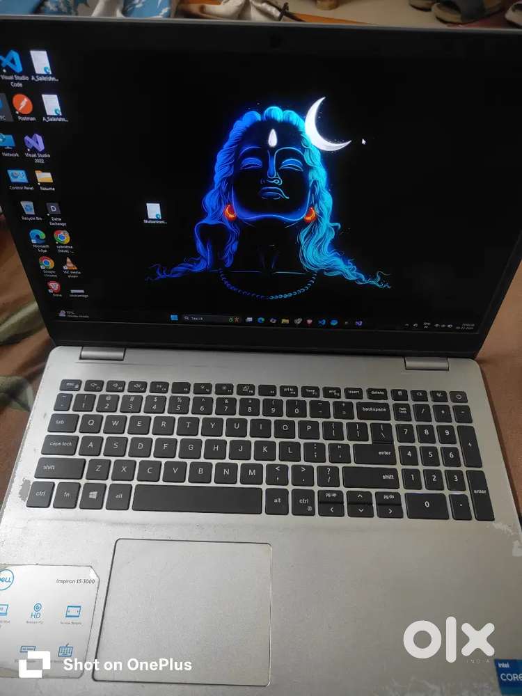 Dell Inspiron 15 3000- 12 GB RAM, 256 SSD, 1 TB HDD