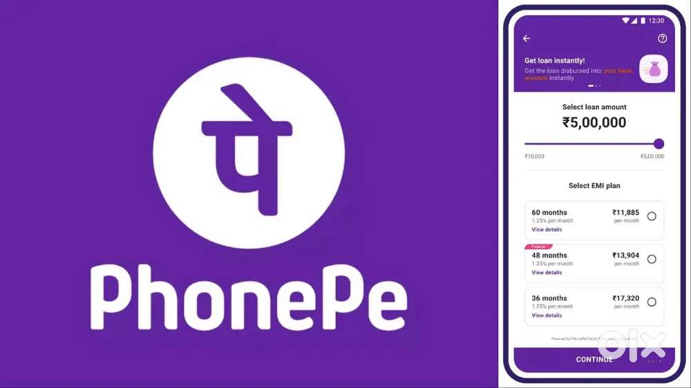 PhonePe Freelancing Hiring