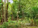 9 cent land for sale in kanjoor parappuram,near airport, Perumbavoor