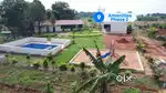 Managed Farmland for Health, Wealth & Holidays  Aroma Sandolo