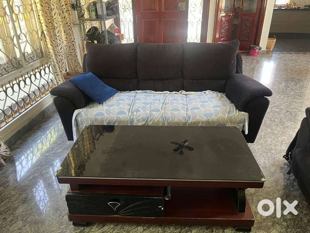 Damro sofa and royaloak coffee table along with carpet for sale