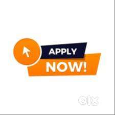 Collection Executive , Kollam