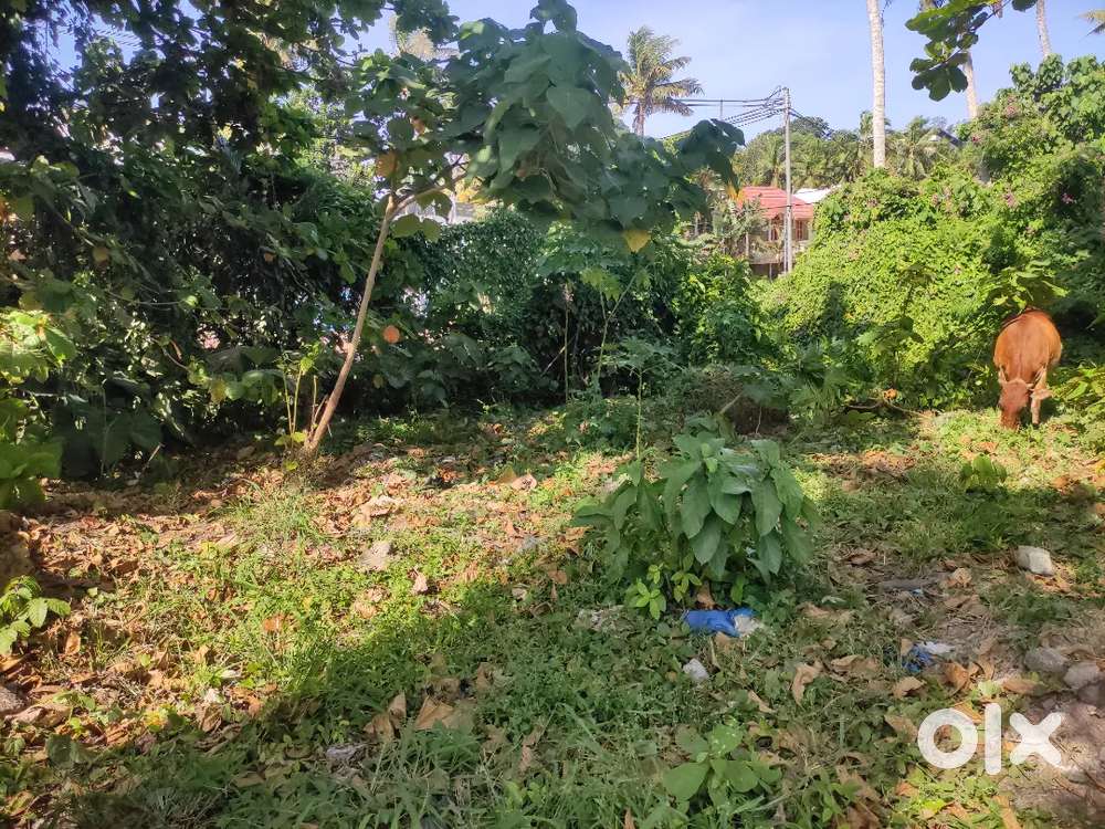 Medical college poonthi