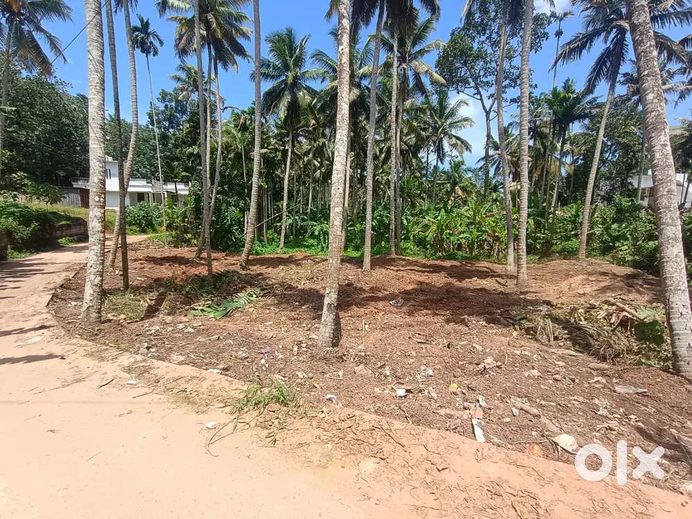 PLOT FOR SALE NEAR NJANDOORKONAM