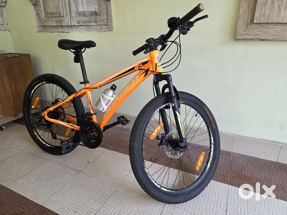 Roadeo Hank T1 cycle 24