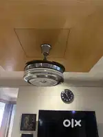 Designer ceiling fan