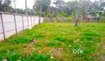 ആയികുന്നം കല്ലേലിമുക്കിൽ 15 സെൻ്റ് വസ്തു വില്പനയ്ക്ക്