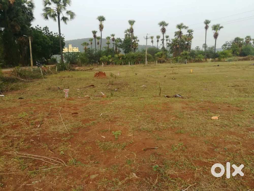 Sri Sri balaravamma temple road, opposite bramalingam cheruvu.