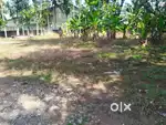 40 cent land near kulikampalam, puliyoor.