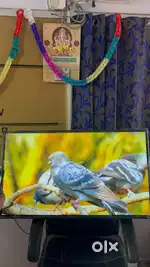 55 inch oled display new software updated version more specifications